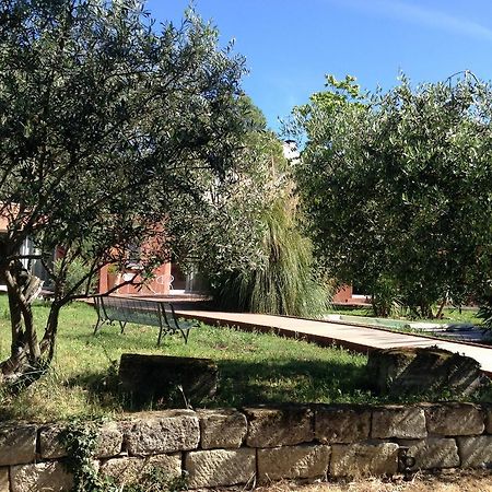 De La Suite Dans Les Oliviers Gallargues-le-Montueux Eksteriør billede